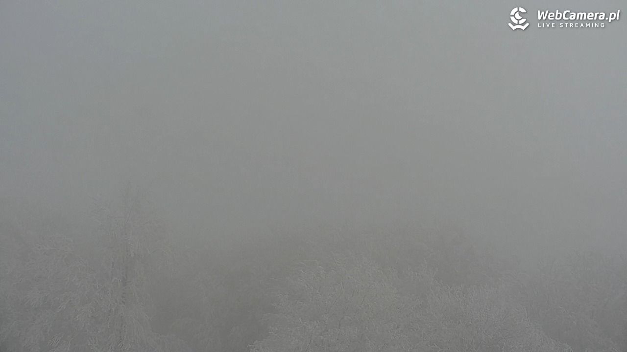 Szyndzielnia – szczyt w Beskidzie Śląskim - 31 styczeń 2026, 10:30