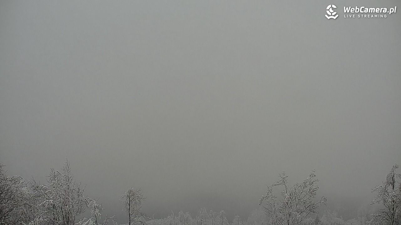 Szyndzielnia – szczyt w Beskidzie Śląskim - 01 luty 2026, 14:49