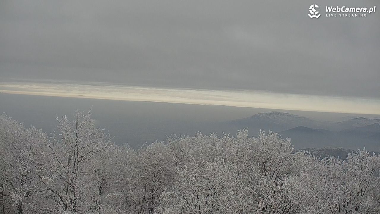 Szyndzielnia – szczyt w Beskidzie Śląskim - 02 luty 2026, 13:47