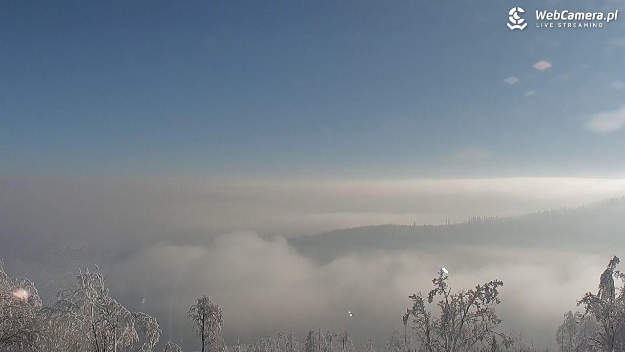 Szyndzielnia – szczyt w Beskidzie Śląskim - 01 luty 2026, 10:00