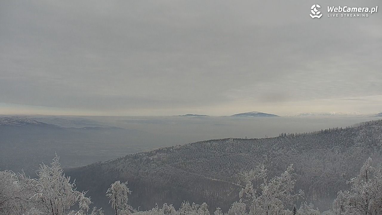 Szyndzielnia – szczyt w Beskidzie Śląskim - 02 luty 2026, 12:43