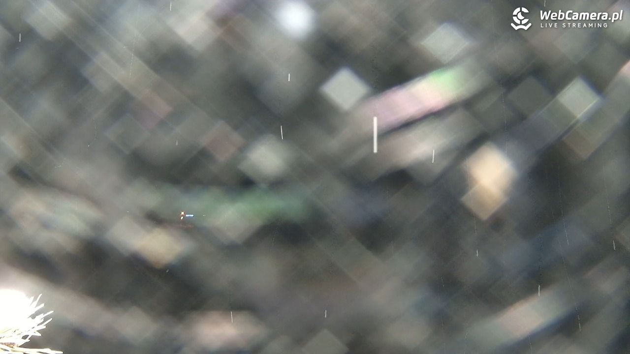 Spływ Przełomem Dunajca - 08 styczeń 2026, 21:05