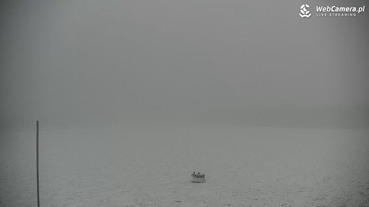GDYNIA - widok na Przystań Jachtową - 11 luty 2026, 07:03