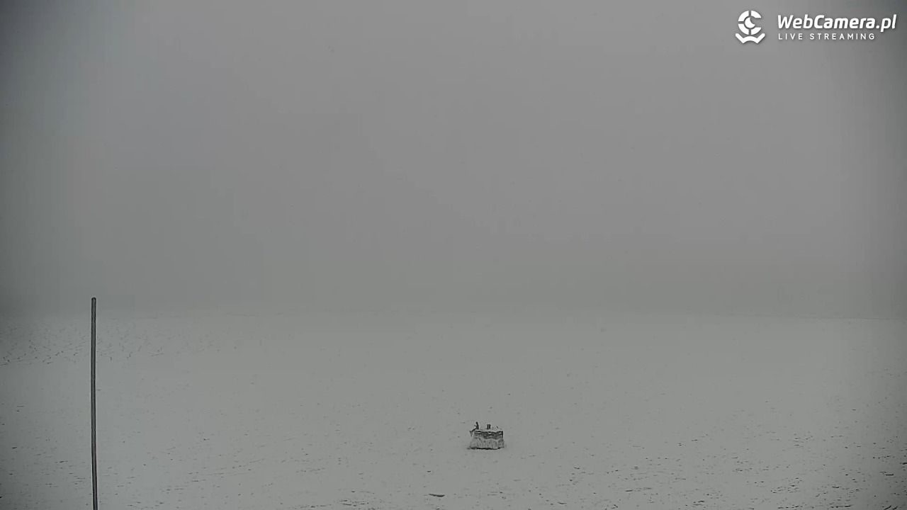 GDYNIA - widok na Przystań Jachtową - 11 luty 2026, 12:53