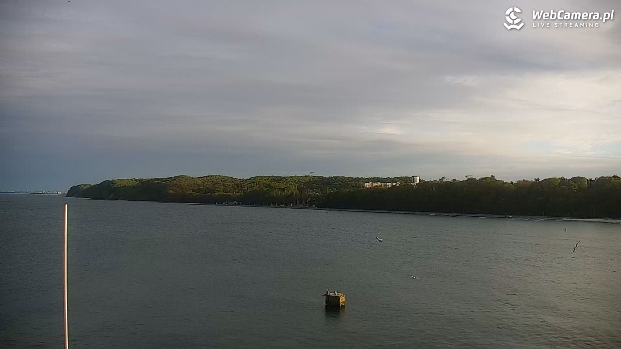 GDYNIA - widok na Przystań Jachtową - 08 maj 2026, 19:10