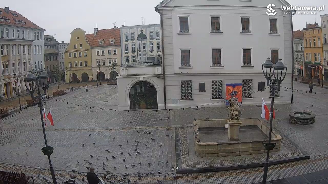 GLIWICE - widok na Rynek - 11 listopad 2025, 08:55