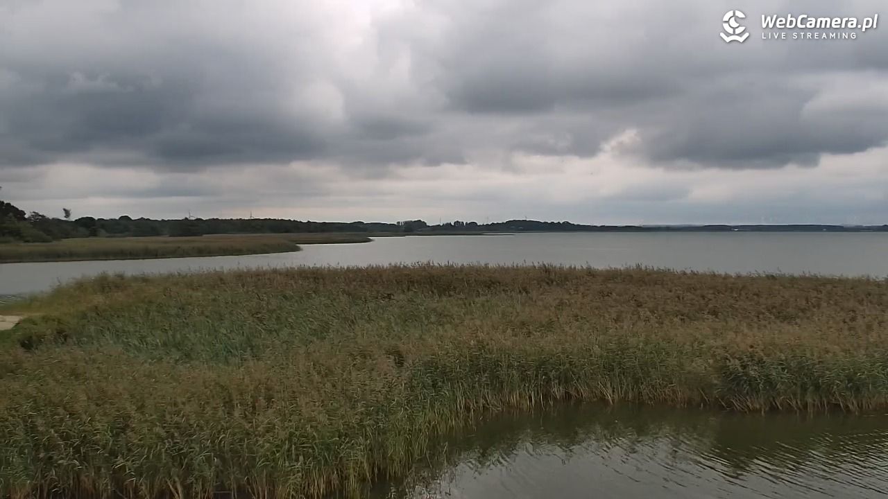DĄBKI - widok na promenadę - NOWOŚĆ - 14 wresień 2025, 16:46