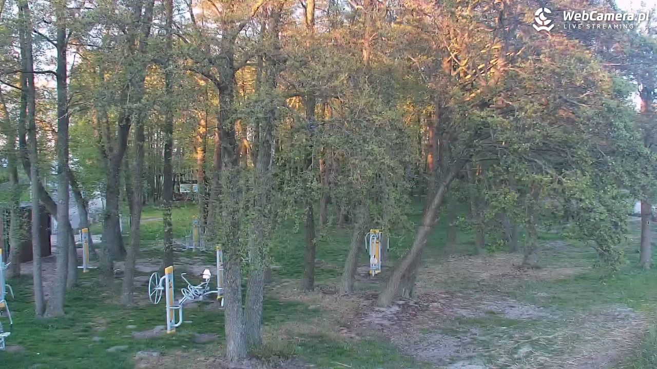 DĄBKI - widok na promenadę - NOWOŚĆ - 13 maj 2026, 20:16