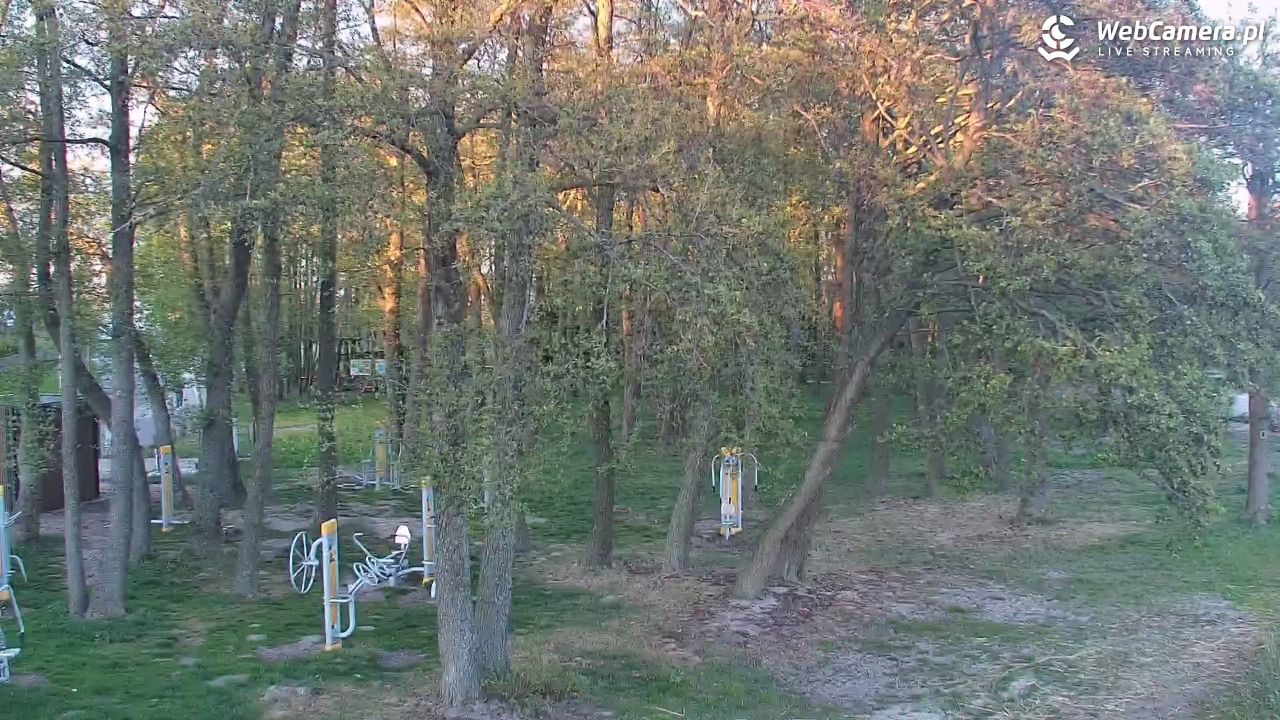 DĄBKI - widok na promenadę - NOWOŚĆ - 13 maj 2026, 20:16