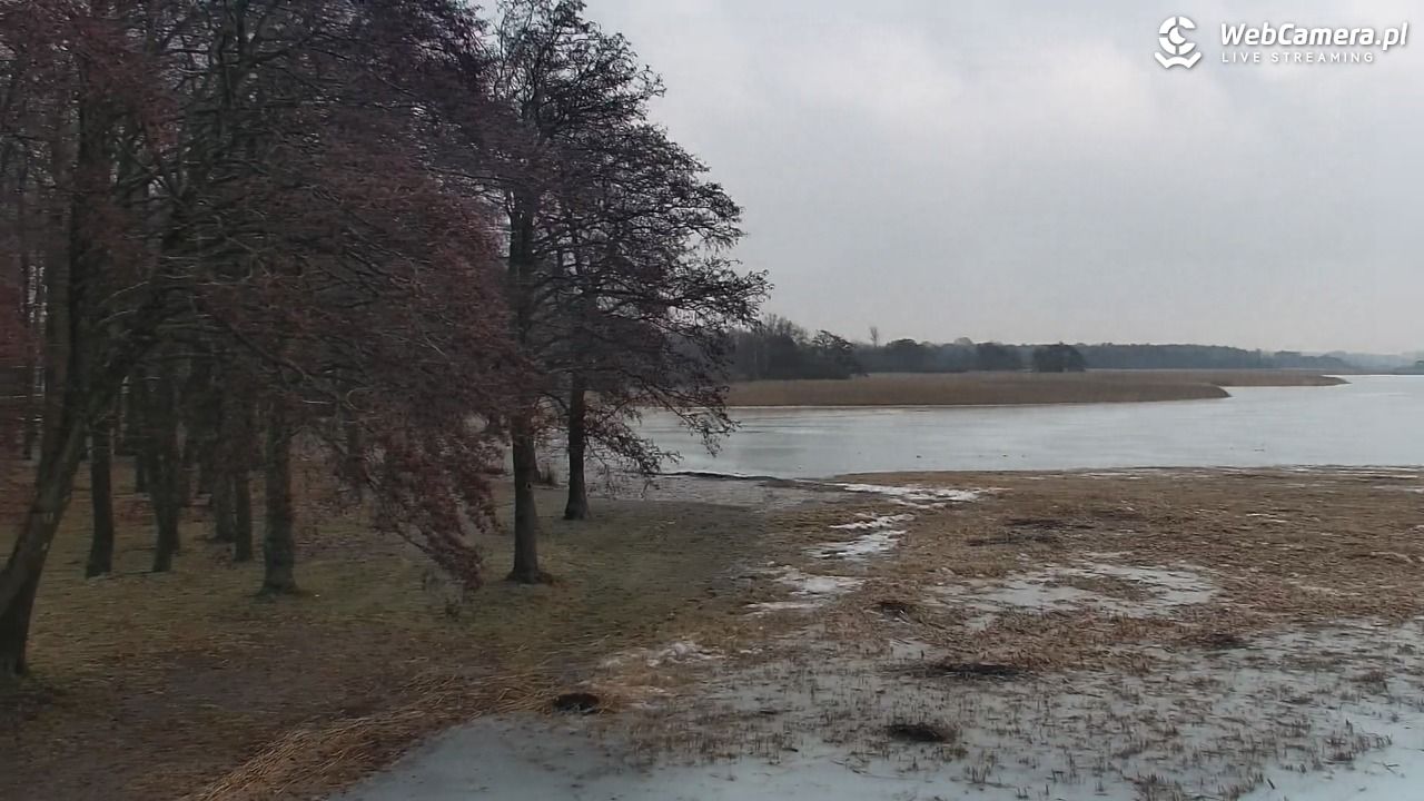 DĄBKI - widok na promenadę - NOWOŚĆ - 06 luty 2026, 09:51