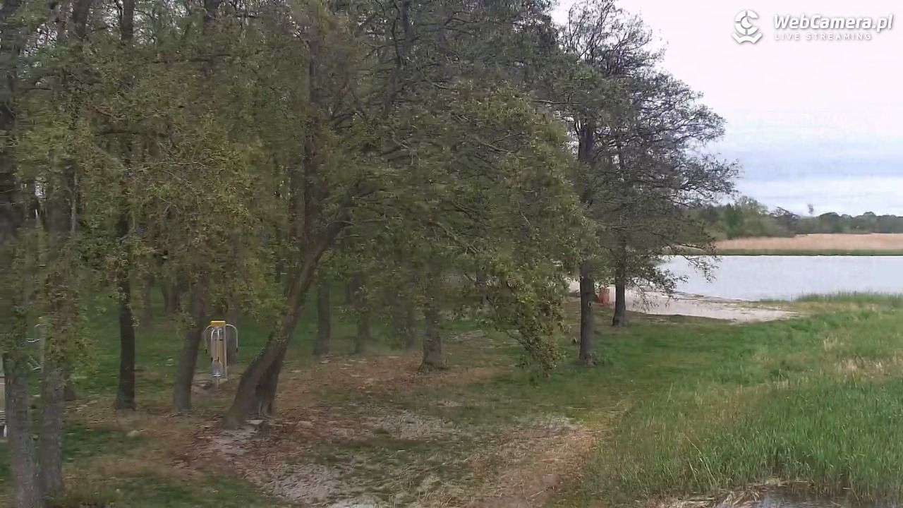 DĄBKI - widok na promenadę - NOWOŚĆ - 12 maj 2026, 12:07