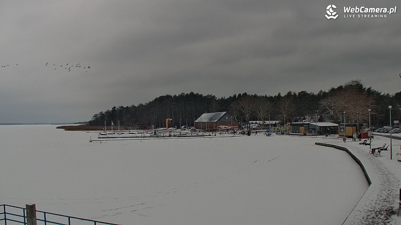 DĄBKI - widok na promenadę - NOWOŚĆ - 08 luty 2026, 12:44