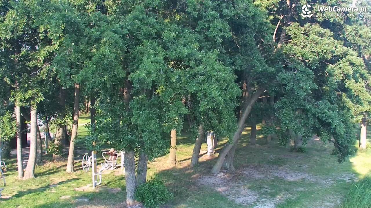 DĄBKI - widok na promenadę - NOWOŚĆ - 28 czerwiec 2026, 19:04