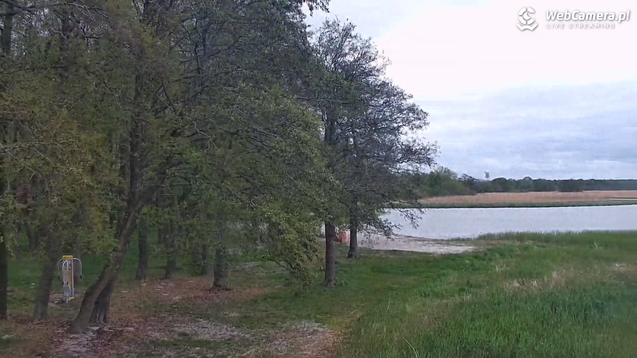 DĄBKI - widok na promenadę - NOWOŚĆ - 12 maj 2026, 15:09