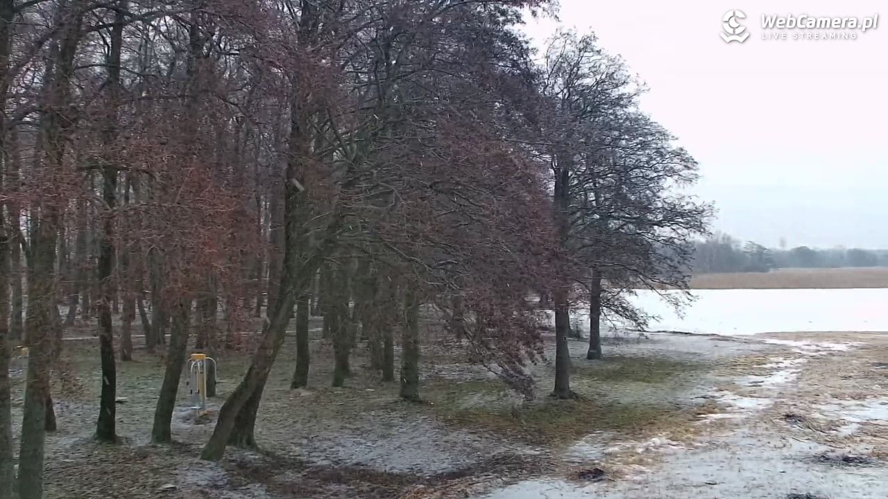 DĄBKI - widok na promenadę - NOWOŚĆ - 07 luty 2026, 14:29