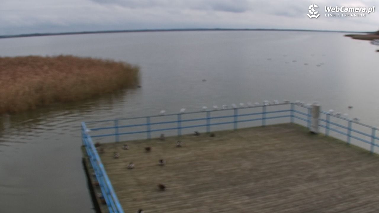 DĄBKI - widok na promenadę - NOWOŚĆ - 02 listopad 2025, 13:32