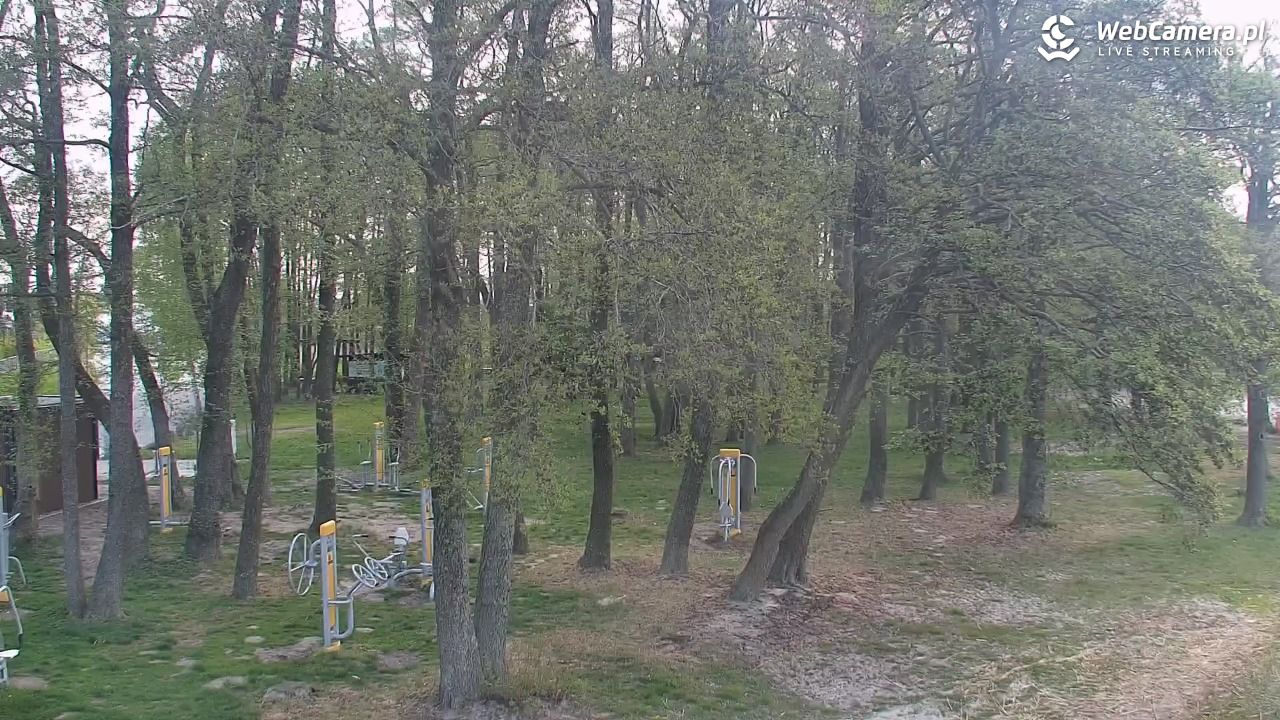 DĄBKI - widok na promenadę - NOWOŚĆ - 11 maj 2026, 10:17