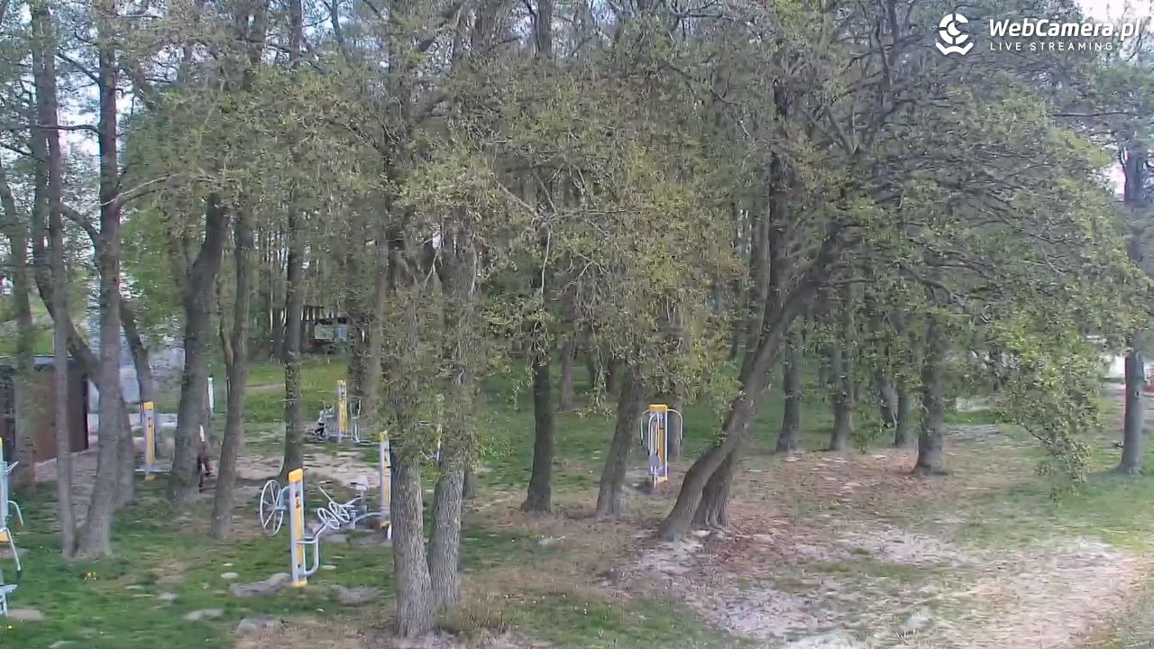 DĄBKI - widok na promenadę - NOWOŚĆ - 11 maj 2026, 12:45