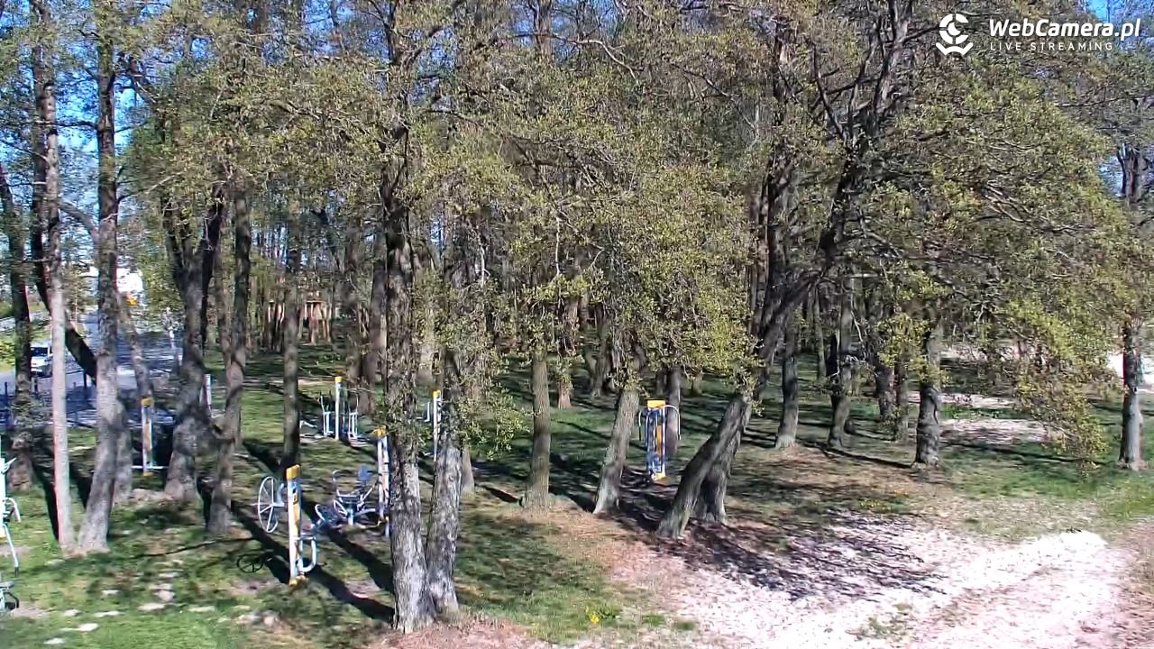 DĄBKI - widok na promenadę - NOWOŚĆ - 26 kwiecień 2025, 15:32