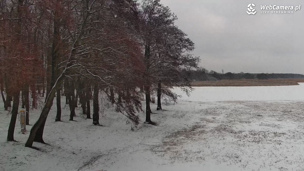 DĄBKI - widok na promenadę - NOWOŚĆ - 08 luty 2026, 11:21