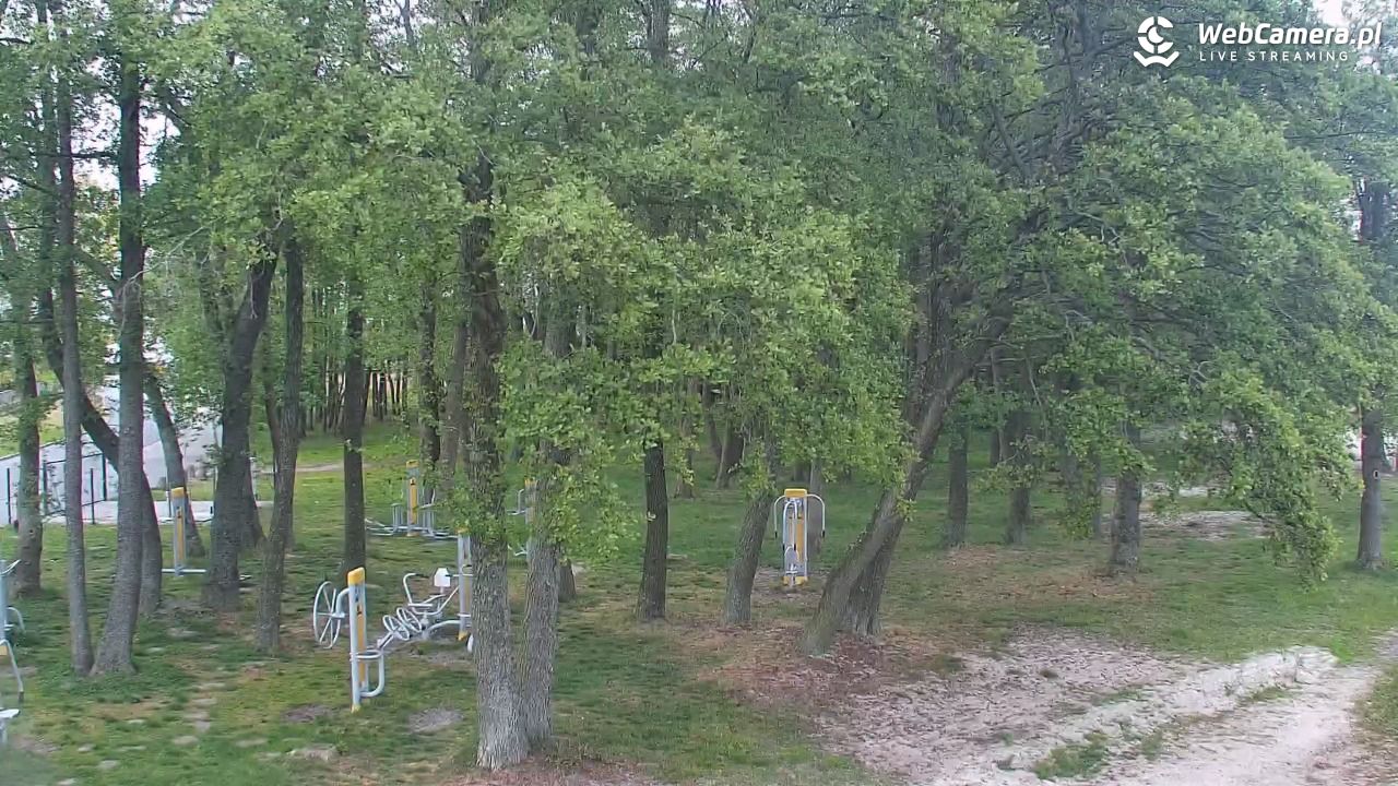 DĄBKI - widok na promenadę - NOWOŚĆ - 17 maj 2025, 09:33