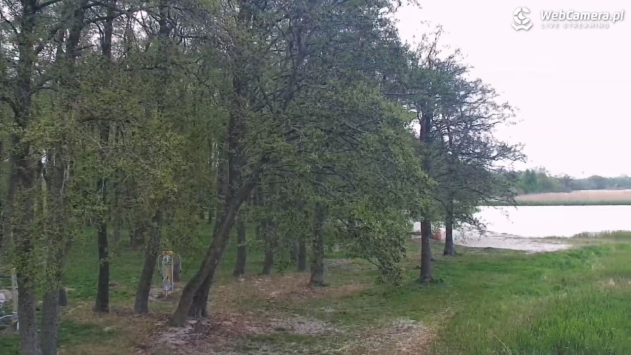 DĄBKI - widok na promenadę - NOWOŚĆ - 14 maj 2026, 10:50