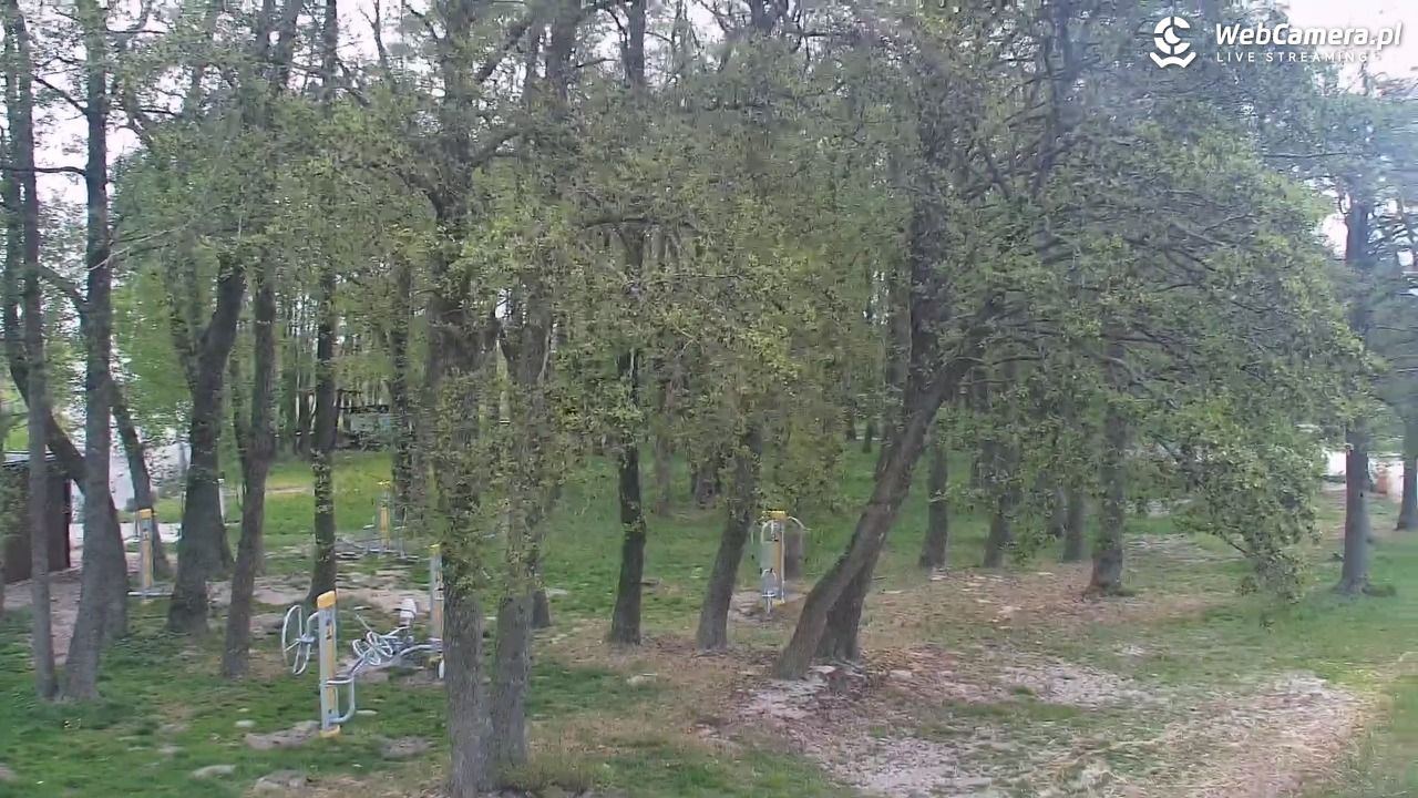 DĄBKI - widok na promenadę - NOWOŚĆ - 14 maj 2026, 10:50