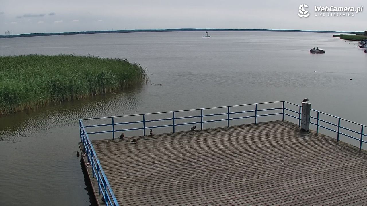 DĄBKI - widok na promenadę - NOWOŚĆ - 29 czerwiec 2026, 14:45