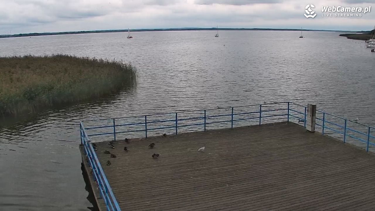 DĄBKI - widok na promenadę - NOWOŚĆ - 14 wresień 2025, 14:11