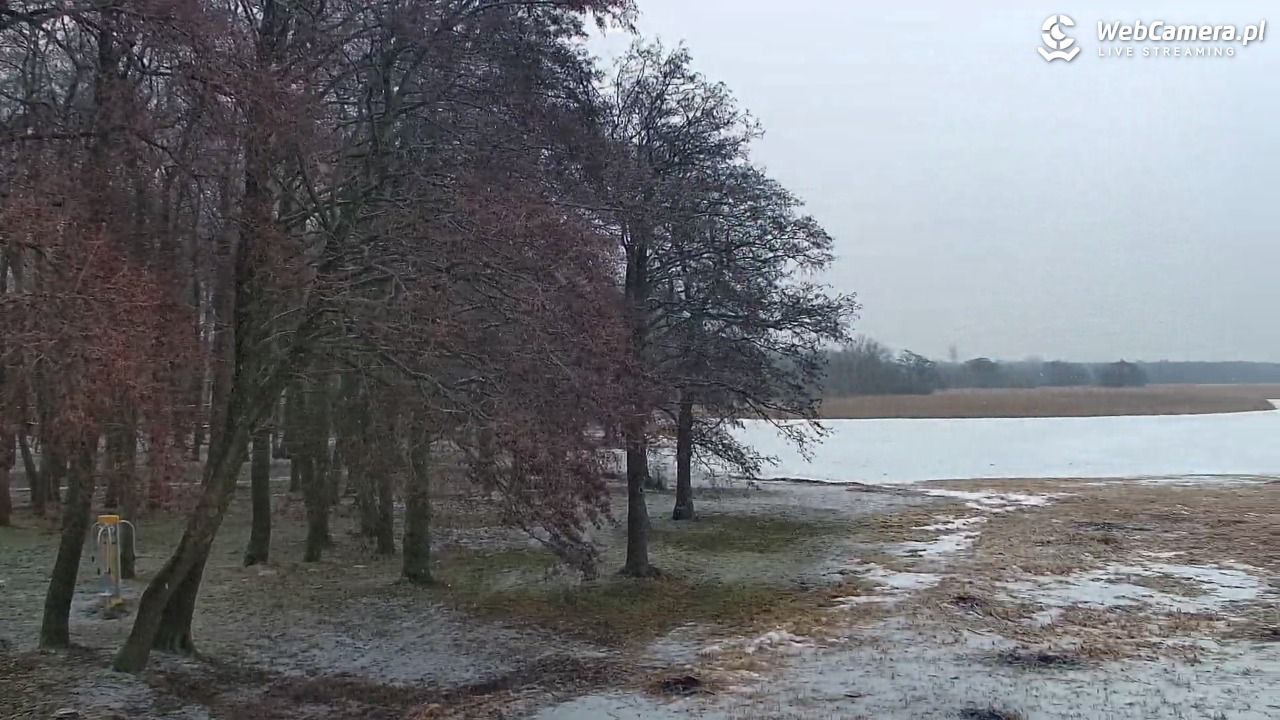 DĄBKI - widok na promenadę - NOWOŚĆ - 07 luty 2026, 14:29