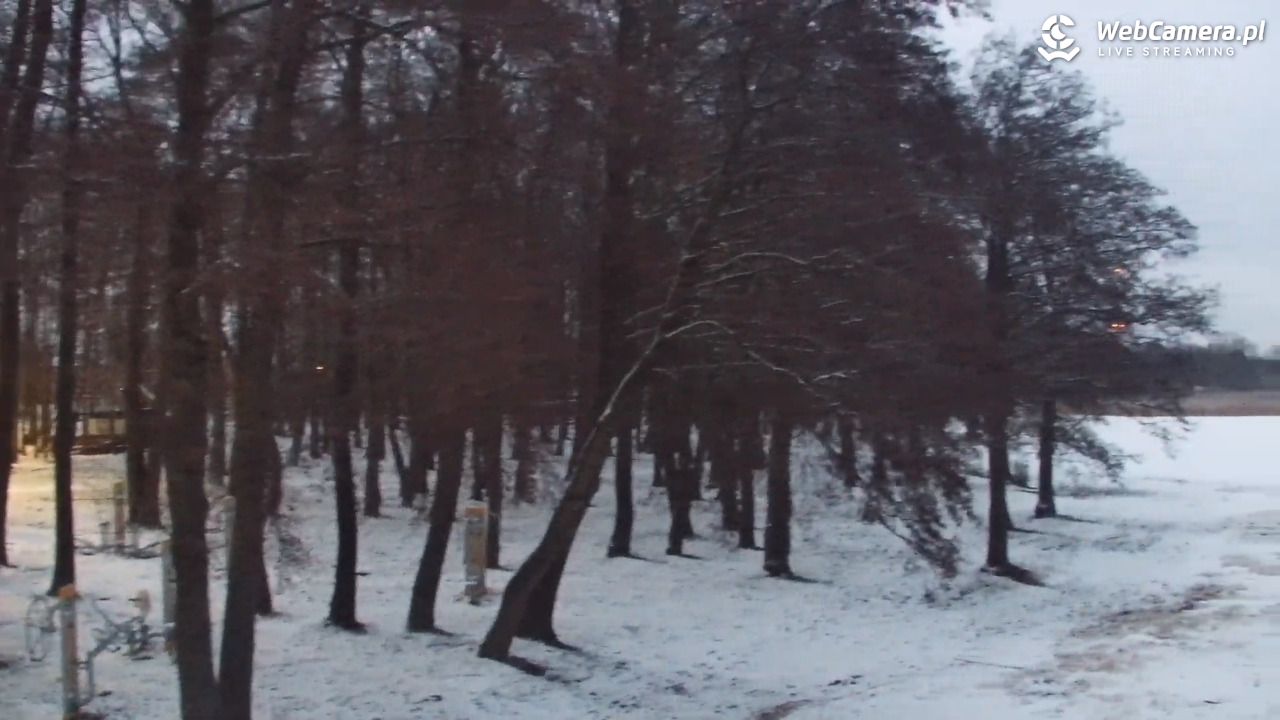 DĄBKI - widok na promenadę - NOWOŚĆ - 08 luty 2026, 17:15