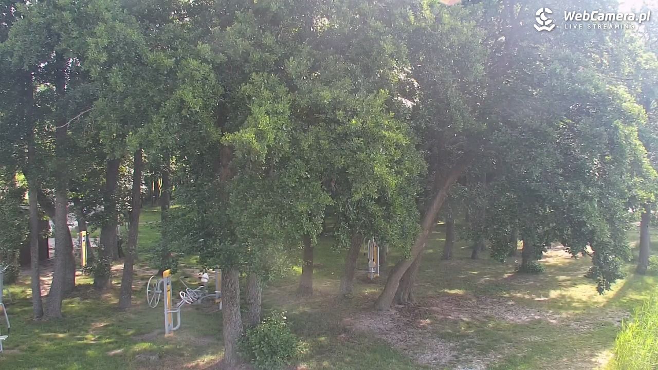 DĄBKI - widok na promenadę - NOWOŚĆ - 28 czerwiec 2026, 10:12