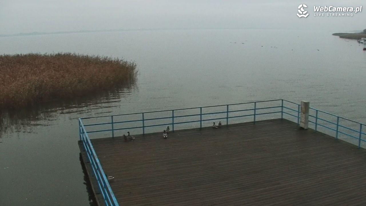 DĄBKI - widok na promenadę - NOWOŚĆ - 02 listopad 2025, 06:42