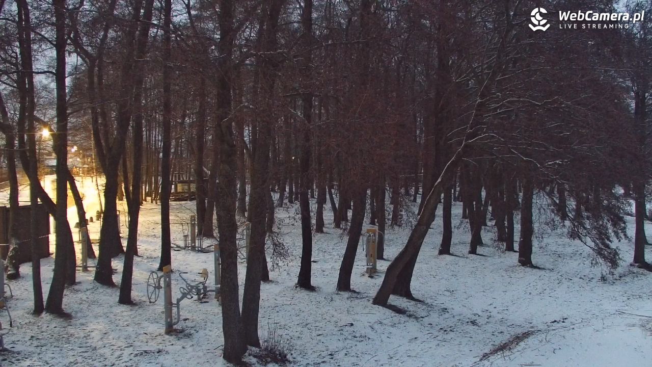 DĄBKI - widok na promenadę - NOWOŚĆ - 08 luty 2026, 17:18