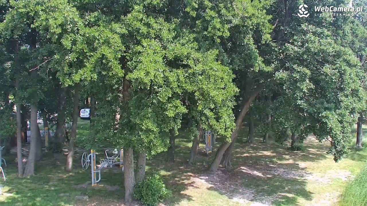 DĄBKI - widok na promenadę - NOWOŚĆ - 29 czerwiec 2026, 14:34