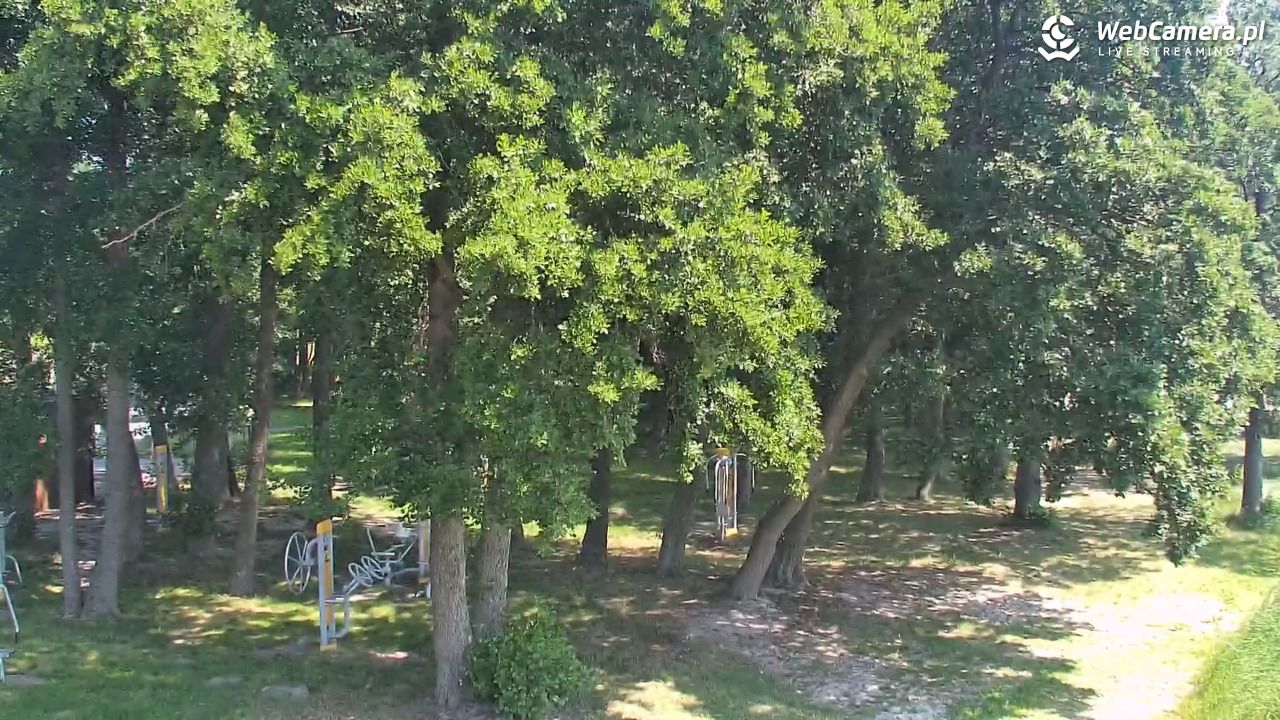 DĄBKI - widok na promenadę - NOWOŚĆ - 28 czerwiec 2026, 13:14