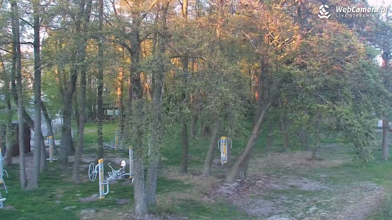 DĄBKI - widok na promenadę - NOWOŚĆ - 13 maj 2026, 20:16