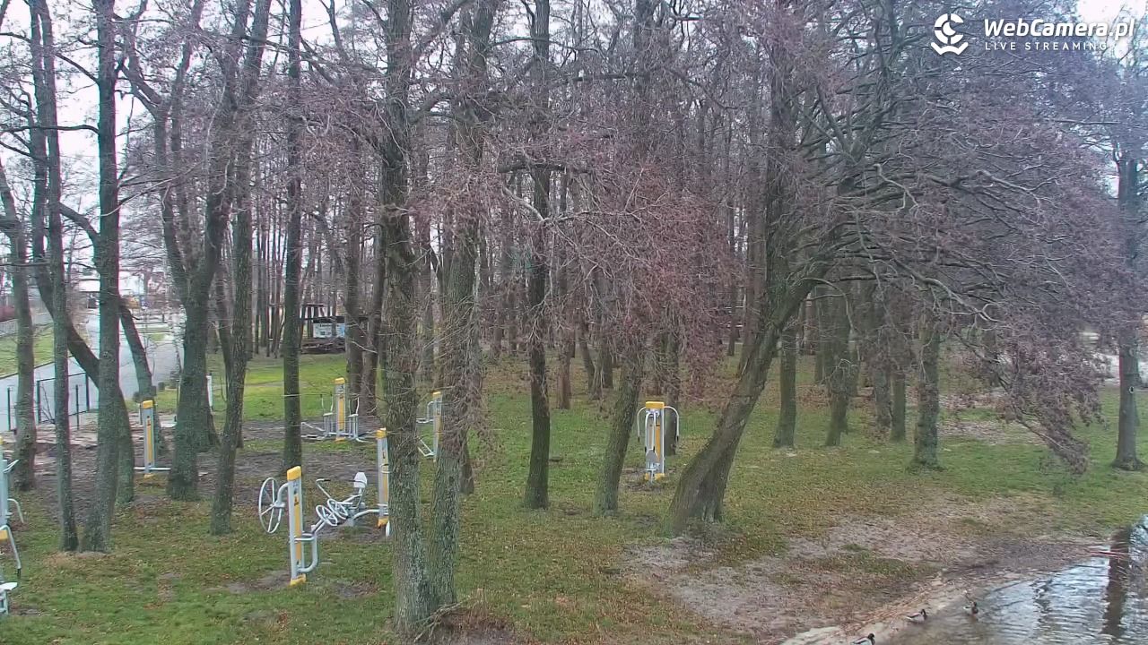 DĄBKI - widok na promenadę - NOWOŚĆ - 20 grudzień 2025, 09:06