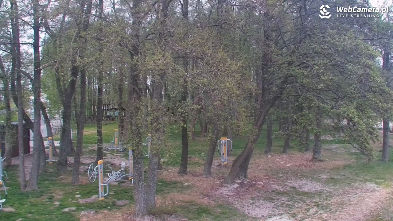 DĄBKI - widok na promenadę - NOWOŚĆ - 10 maj 2026, 20:50