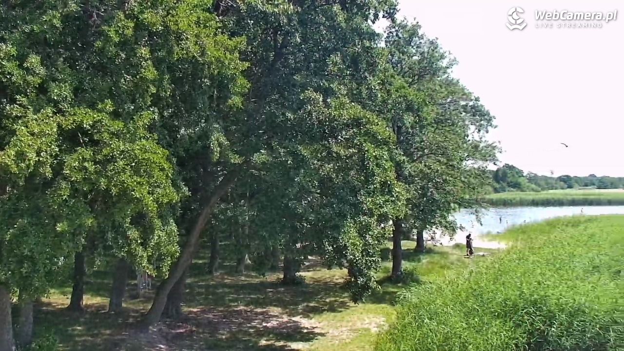 DĄBKI - widok na promenadę - NOWOŚĆ - 27 czerwiec 2026, 12:47