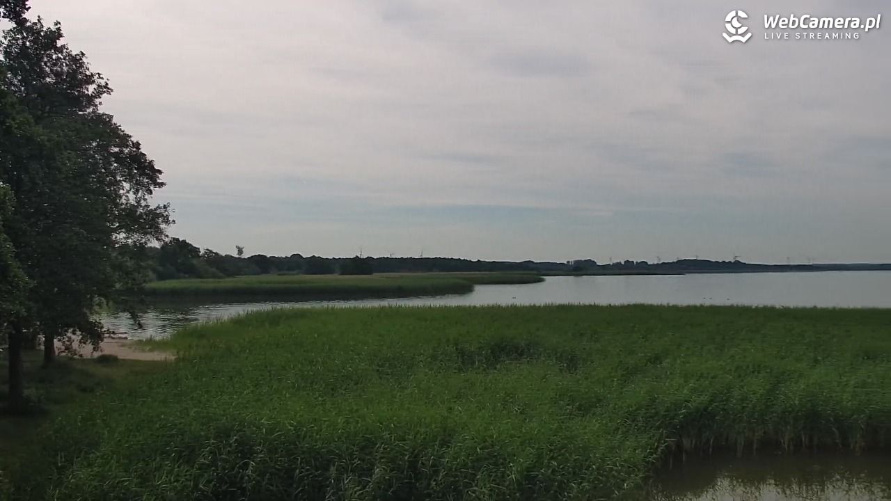 DĄBKI - widok na promenadę - NOWOŚĆ - 28 czerwiec 2026, 09:40