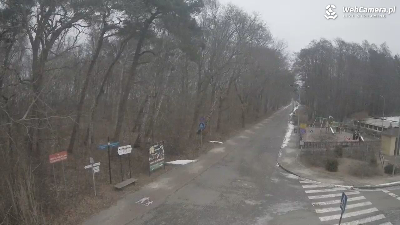 WICIE - widok na deptak - 05 luty 2026, 10:51