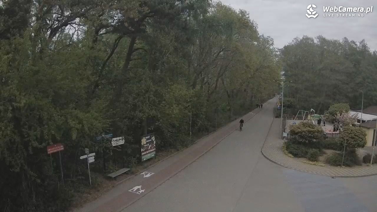 WICIE - widok na deptak - 17 maj 2026, 17:27