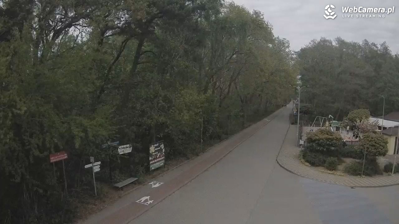 WICIE - widok na deptak - 17 maj 2026, 17:29