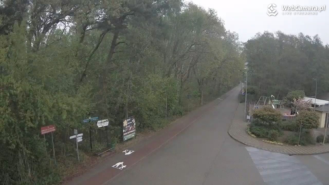 WICIE - widok na deptak - 15 maj 2026, 08:55