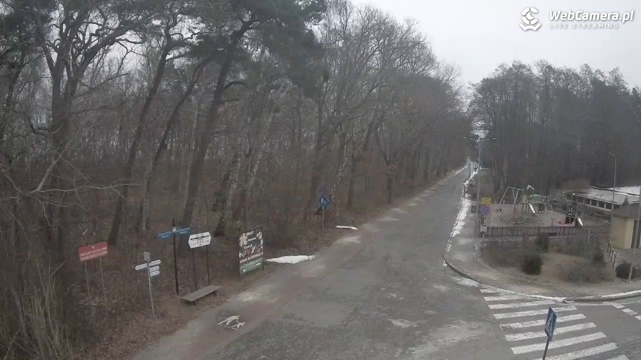 WICIE - widok na deptak - 04 luty 2026, 08:36