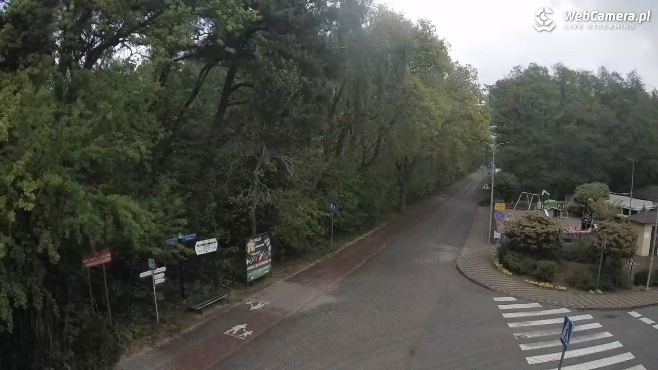 WICIE - widok na deptak - 15 maj 2025, 11:44