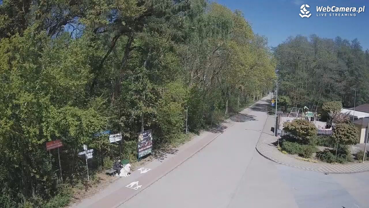 WICIE - widok na deptak - 17 maj 2026, 13:16