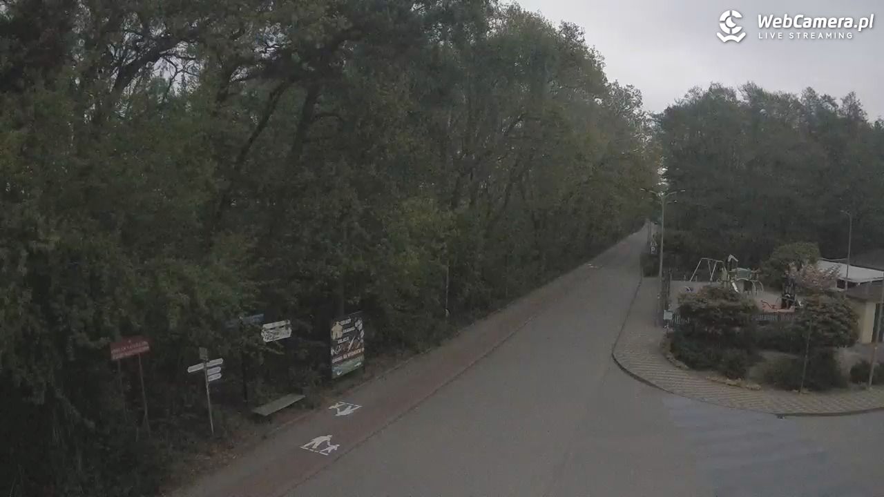 WICIE - widok na deptak - 18 maj 2026, 10:36