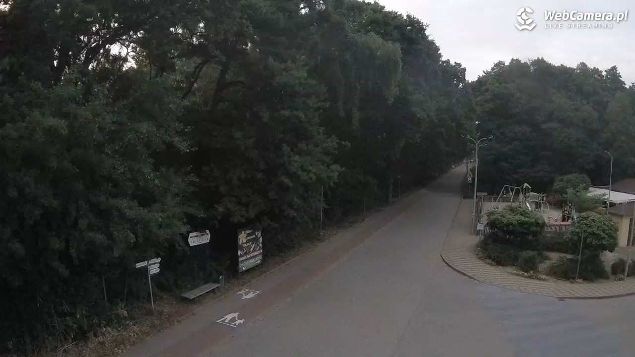 WICIE - widok na deptak - 29 czerwiec 2026, 21:15